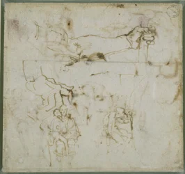 腕の研究、c.1511